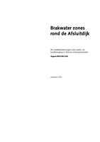 Brakwater zones rond de Afsluitdijk: 3D modelberekeningen naar water- en zoutbeweging in diverse ontwerpvarianten
