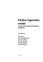 Paulina vegetation model: Current attenuation by salt marsh vegetation