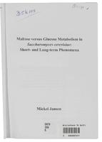 Maltose versus Glucose Metabolism in Saccharomyces cerevisiae: Short- and Long-term Phenomena