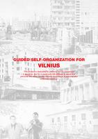 Guided self-organization for Vilnius