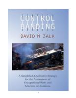A simplified, qualitative strategy for the assessment of occupational risks and selection of solutions: Control Banding