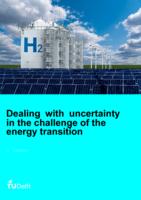 Dealing with uncertainty in the challenge of the energy transition