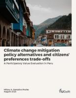 Climate change mitigation policy alternatives and citizens' preferences trade-offs