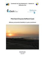 Pilot Sand Groynes Delfland Coast: Efficiency and practical feasibility of a pulse nourishment