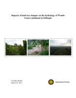 Impacts of land use changes on the hydrology of Wondo Genet catchment in Ethiopia