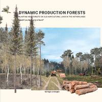 Dynamic Production Forests