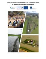 Nature based solutions for fluvial flood mitigation: an integrated assessment framework
