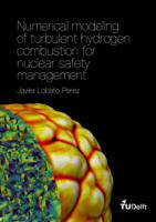Numerical modeling of turbulent hydrogen combustion for nuclear safety management
