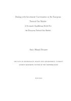 Dealing with Investment Uncertainties in the European Natural Gas Market: A Stochastic Equilibrium Model for the European Natural Gas Market