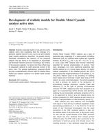 Development of realistic models for Double Metal Cyanide catalyst active sites