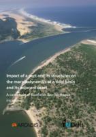 Impact of a port and its structures on the morphodynamics of a tidal basin and its adjacent coast 