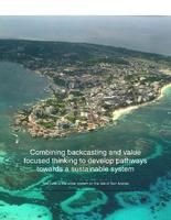 Combining backcasting and value focused thinking to develop pathways towards a sustainable system: The case of the water system on the Isle of San Andres