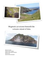 Magmatic processes beneath the volcanic island of Saba
