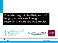 Characterizing thin-bedded, low-N/G tough gas reservoirs through reservoir-analogue and core studies