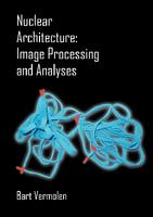 Nuclear Architecture: Image Processing and Analyses